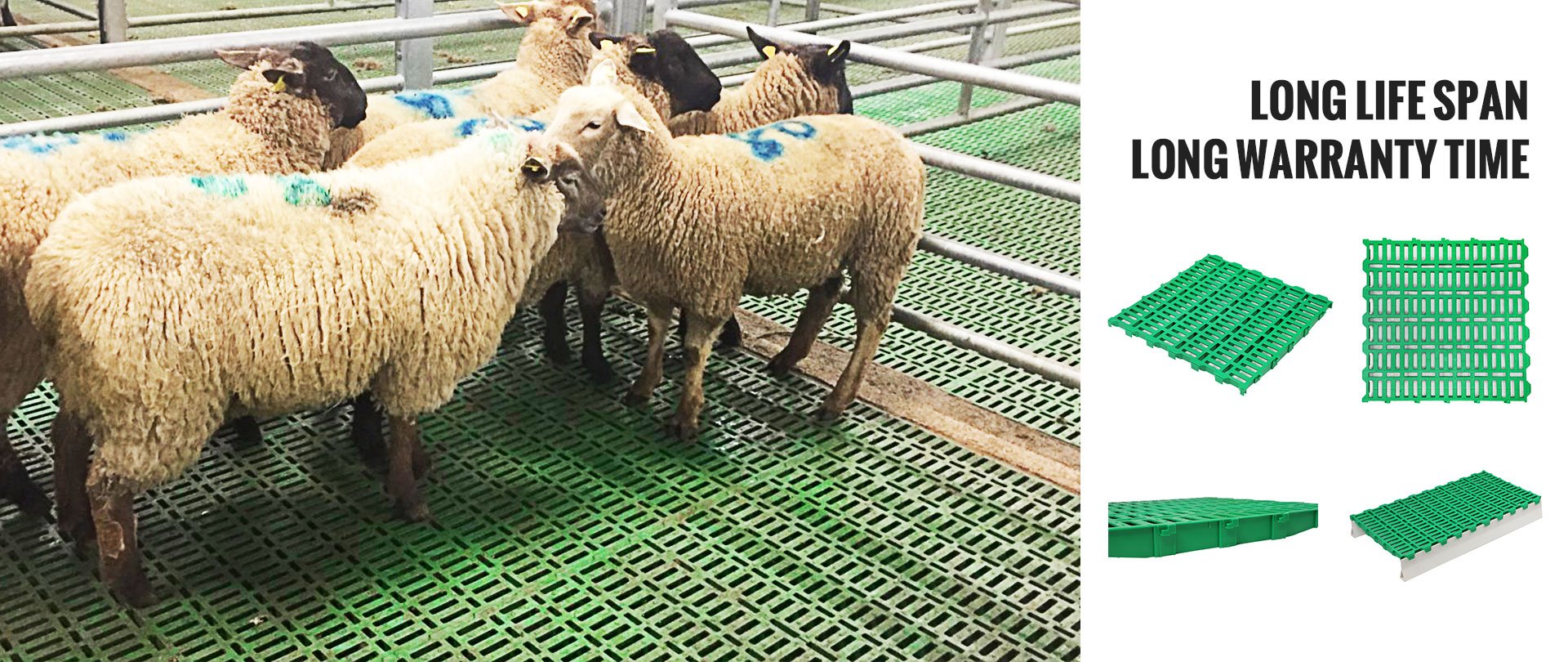 poultry feeding equipment | plastic slat floor | chicken slat floor ...