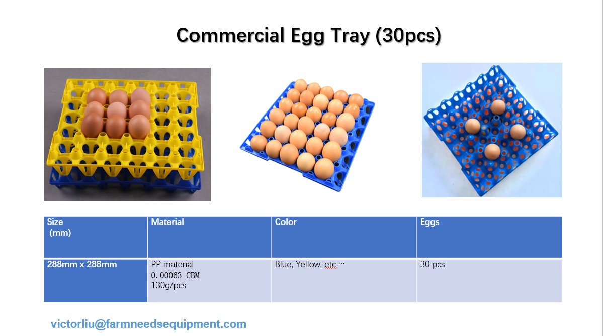 egg tray plastic egg tray egg packing box egg packing tray