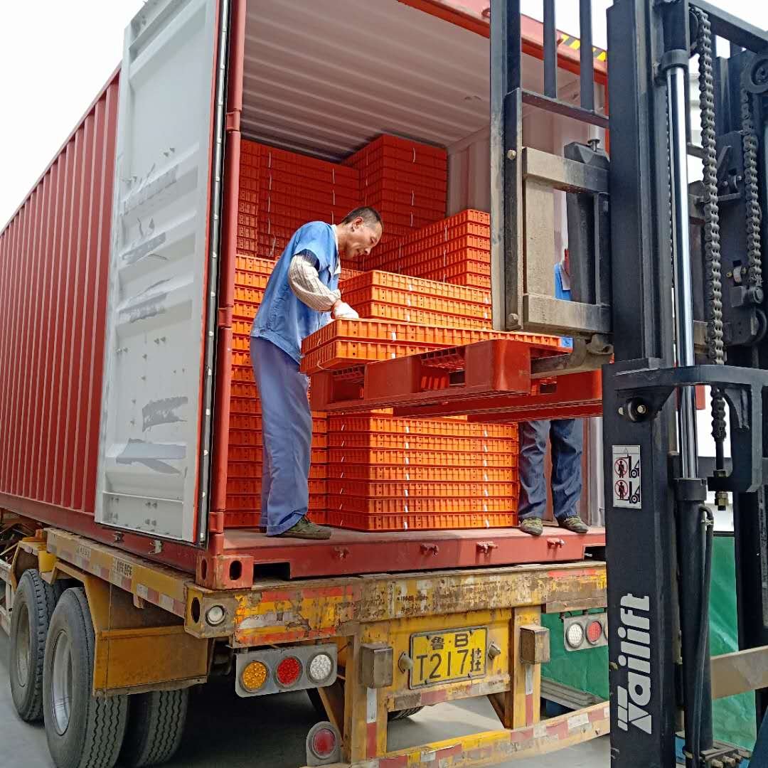 chicken transport crate chicken transport box chicken transport